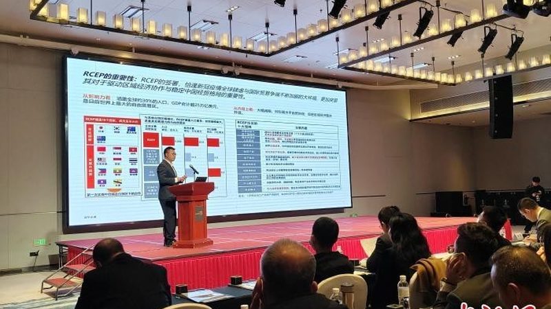 企业如何通过定制化组织架构咨询方案实现高效运营**