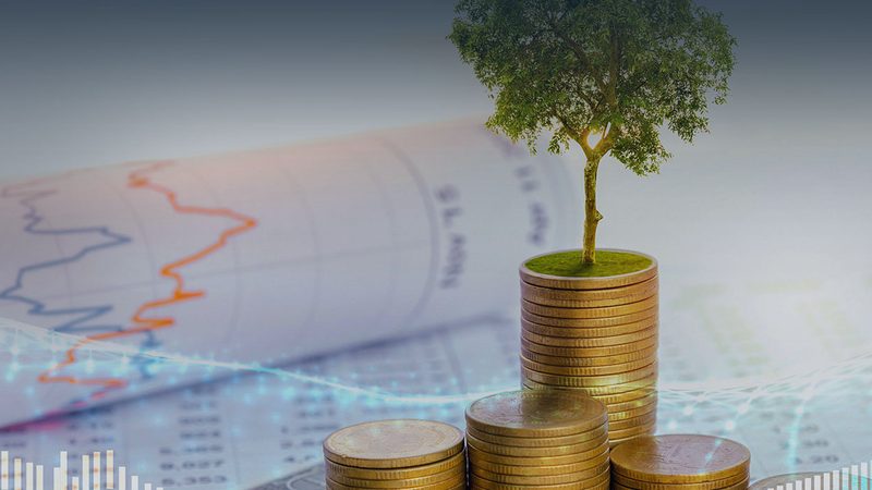 股权激励：如何选择专业的设计公司？**